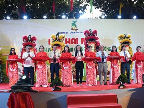 Triển lãm Sinh Vật Cảnh tỉnh Quảng Ngãi mở rộng năm 2019 chào mừng 30 năm tái lập tỉnh Quảng Ngãi