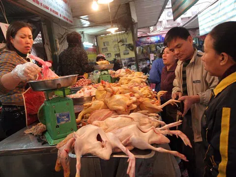 Sau thịt heo, giá gà biến động mạnh mùa giáp Tết