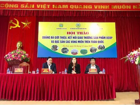 Những hiệu quả thiết thực từ Chương trình Hội thảo, quảng bá, kết nối giao thương sản phẩm OCOP và đặc sản các vùng miền trên phố Trịnh Công Sơn, Hà Nội