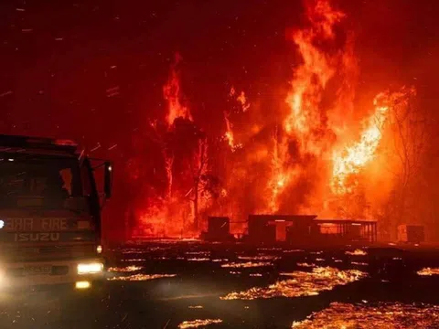 Hình ảnh thảm thương vì cháy rừng ở Australia