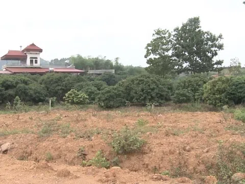 Huyện Lục Nam (Bắc Giang): Cần làm rõ tình trạng buông lỏng quản lý, người dân ô ạt chuyển đổi mục đích sử dụng đất nông nghiệp?