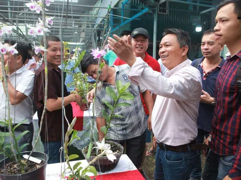 Đông La (Hoài Đức – Hà Nội) phấn đấu trở thành Làng nghề truyền thống trồng hoa lan đầu tiên của cả nước