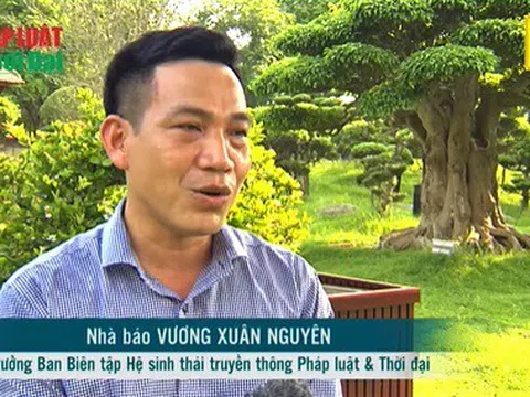 Nhà báo Vương Xuân Nguyên: Quản lý cây xanh không quy trách nhiệm cho ông trời