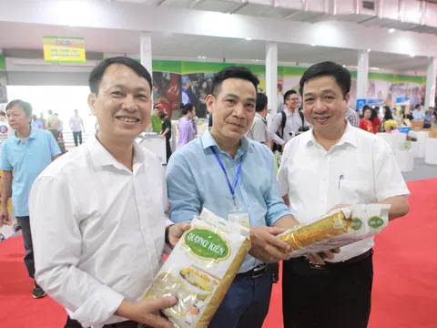 Hà Nội: Công nhận 301 sản phẩm OCOP năm 2019
