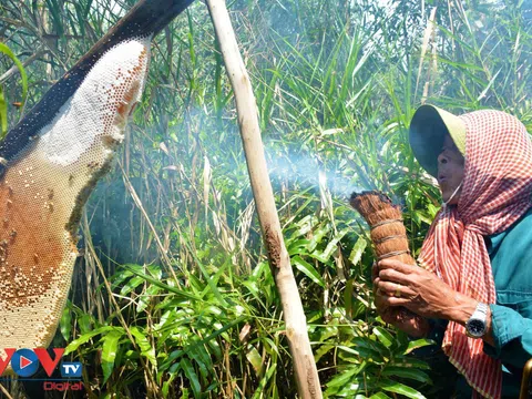 Điểm danh những đặc sản nổi tiếng gần xa của vùng Đất Mũi Cà Mau