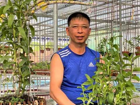 Nghệ nhân Nguyễn Phương Hồng: Kỹ thuật trồng và chăm sóc lan Phi điệp quyết định phẩm cấp của bông hoa