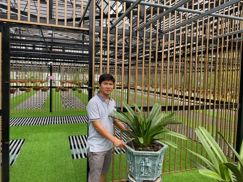 Nguyễn Tấn Lên: Chàng trai nuôi khát vọng về nền nông nghiệp đô thị ứng phó biến đổi khí hậu