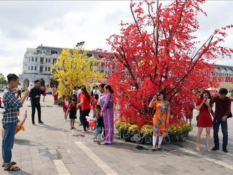 Nhiều tour du lịch dịp Tết Nguyên đán hút khách
