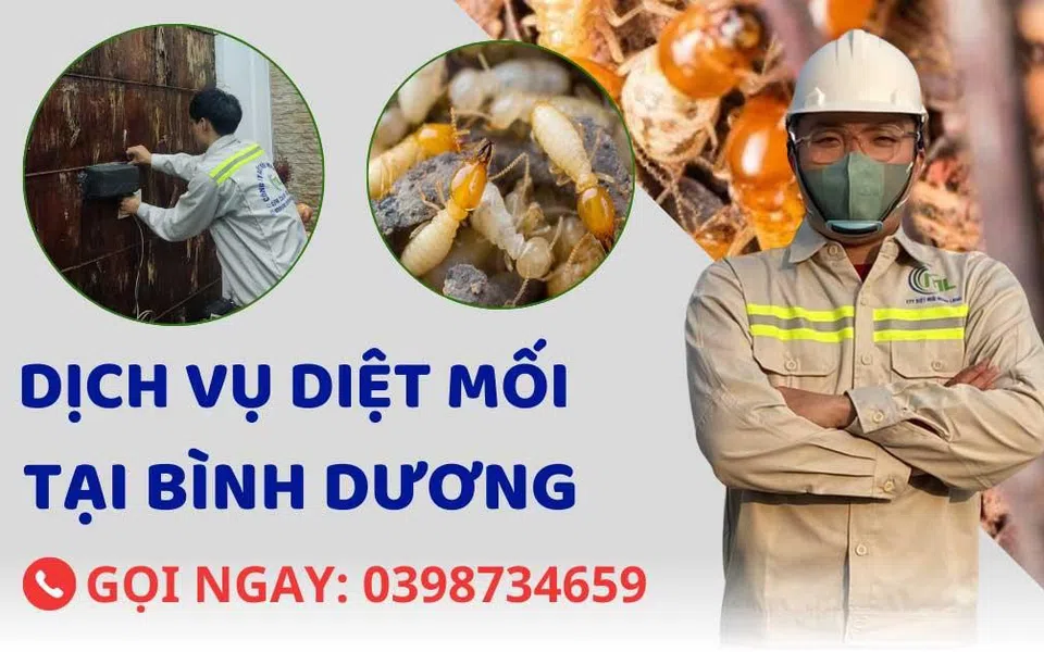 Diệt Mối Minh Long - Địa chỉ diệt mối uy tín tại Bình Dương